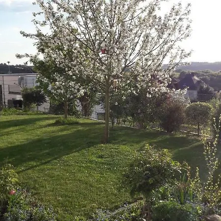 Apartment Ferienwohnung Sayntalblick Caan